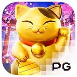 รีวิว Lucky Neko