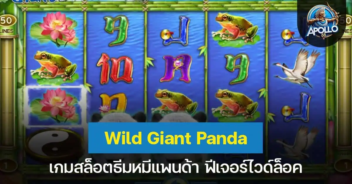 Wild Giant Panda เกมสล็อตธีมหมีแพนด้า ฟีเจอร์ไวด์ล็อค