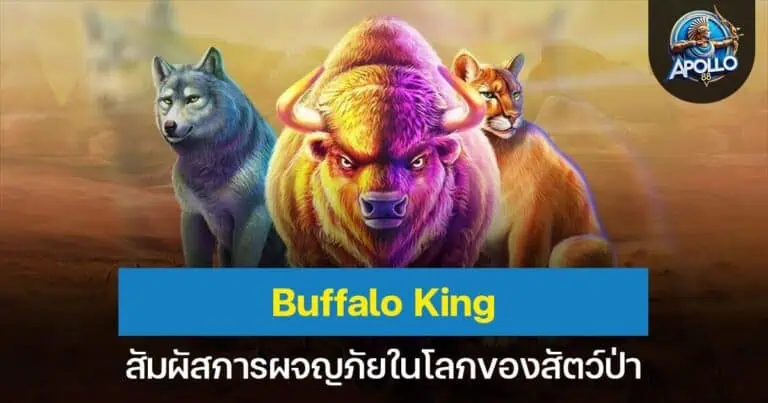 Buffalo King สัมผัสการผจญภัยในโลกของสัตว์ป่า