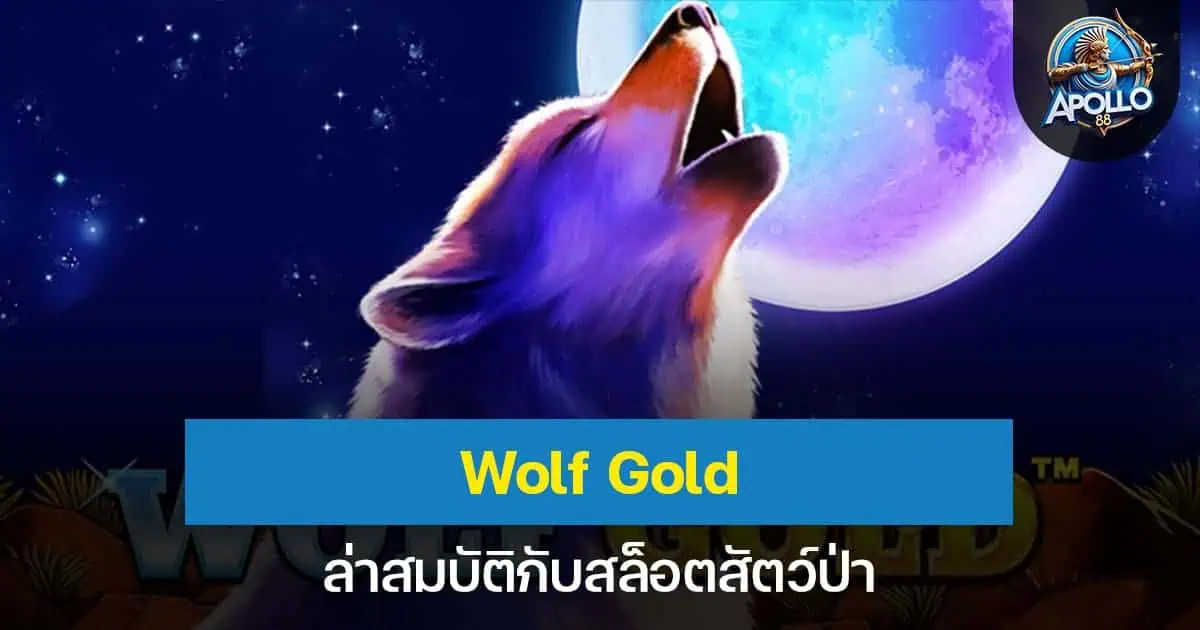 Wolf Gold ล่าสมบัติกับสล็อตสัตว์ป่า