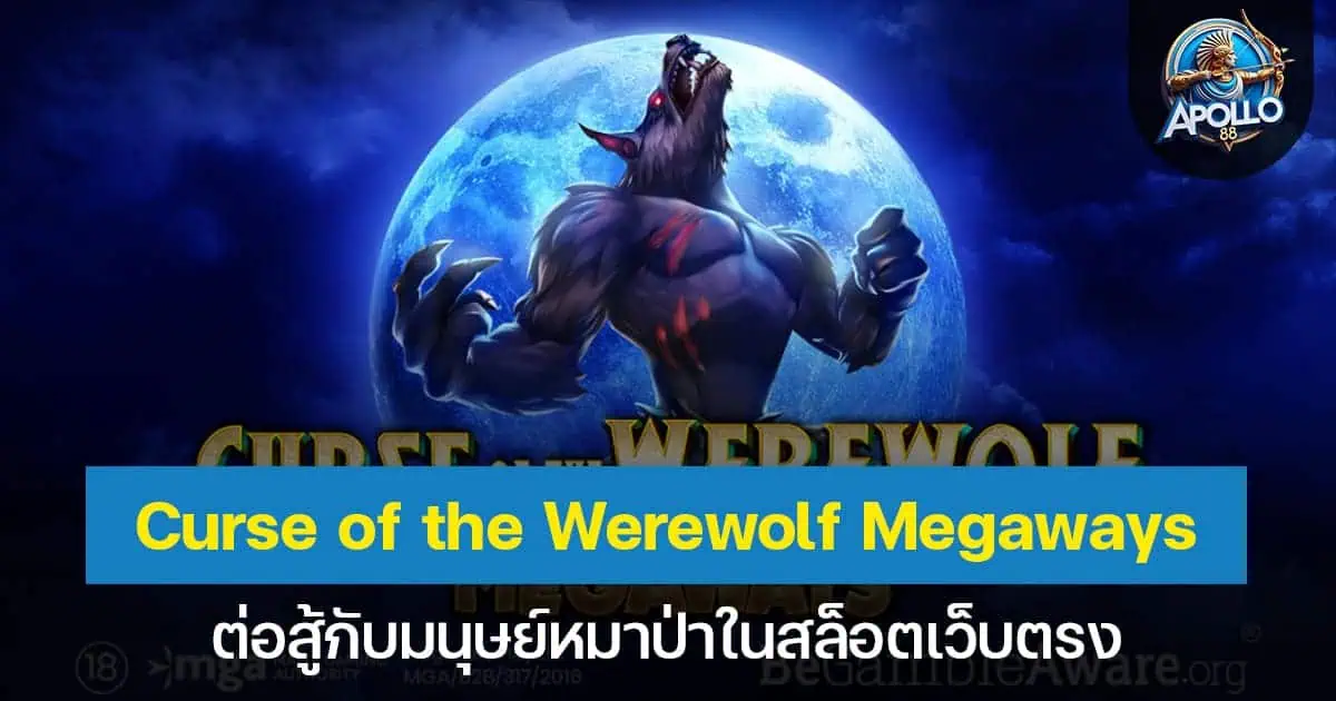 Curse of the Werewolf Megaways ต่อสู้กับมนุษย์หมาป่าในสล็อตเว็บตรง