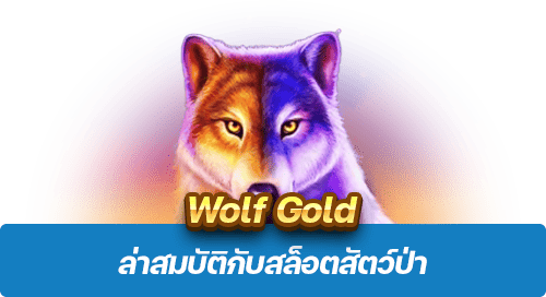 Wolf Gold