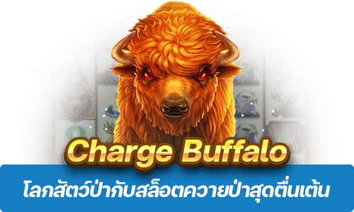 Charge Buffalo